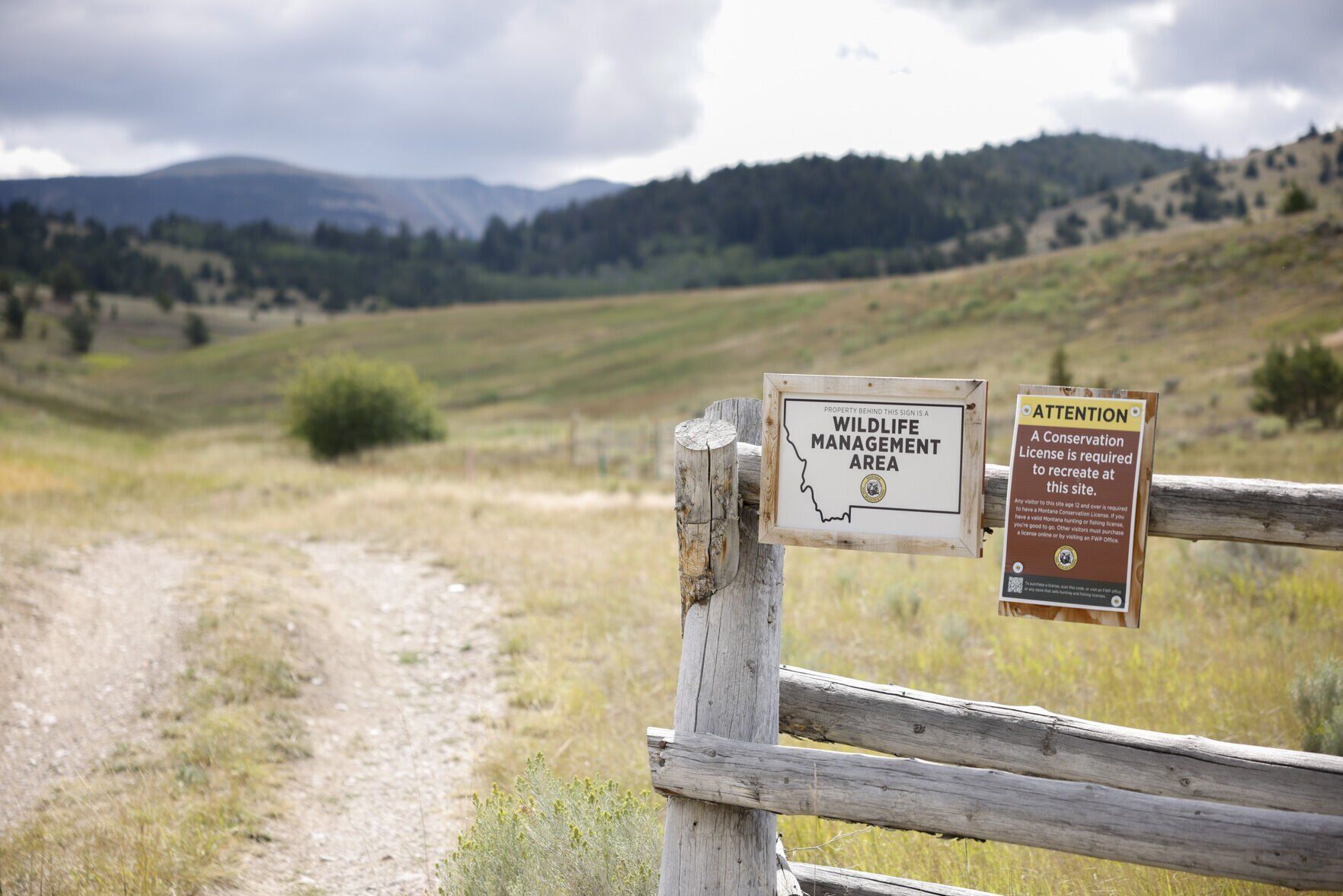080525-stnd-nws-shooting-009.jpg
